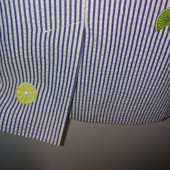 Talbots Seersucker Lemons&Limes Embroidered Sleeveless Dress Size 6P Blue Cream - Picture 8 of 9